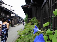 かえるぴょこぴょこ　みぴょこぴょこ　あわせて楽しい下呂と高山　【その2～高山街歩き】