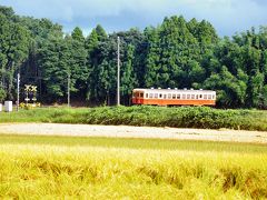 秋ですね＾−＾ たわわに実る稲穂とコトコト走るローカル線　房総半島秋景色です(*･▽･*)