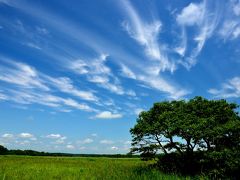 自然を満喫する夏の北海道16日間の旅（１６） 釧路湿原巡り　～その２～