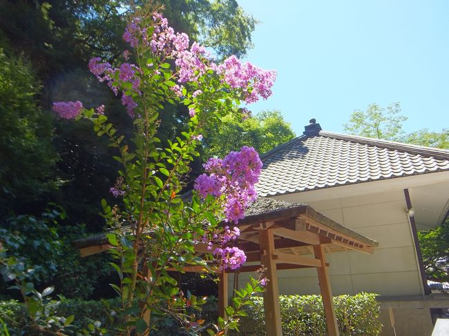 母が亡くなり，いつか一緒に訪れようと思っていた鎌倉へ。<br />花が好きだった母に見せてあげたかった紫陽花の季節は過ぎてしまったけれど，<br />亡き母の思い出に浸りながら歩き回りました。