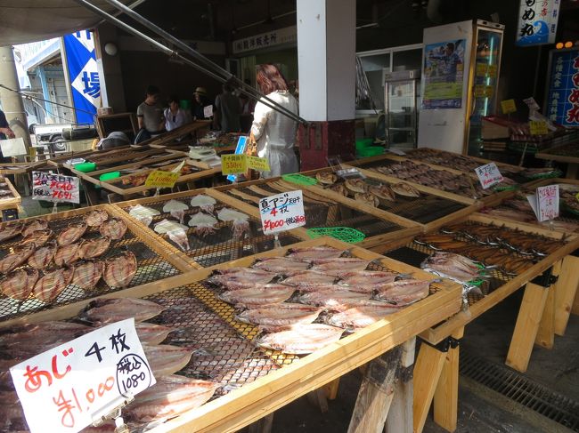 今日は沼津の夏祭りの日。<br />ここ数年、毎年桟敷席で花火をみるのが恒例なのだが、今年はなしに。あ・あ残念。<br /><br />上の子供達は、翌日友達とお祭りに行く約束をしているようなので、昼間にお祭り行ってもねぇ〜。<br />と、言う事で沼津港でランチをすることにした。<br /><br />花火大会の写真は娘から頂いた。