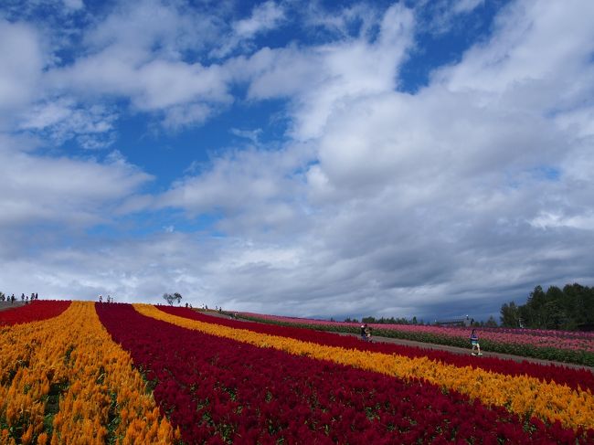 天気ドキドキ初秋の北海道　～美瑛→富良野編～