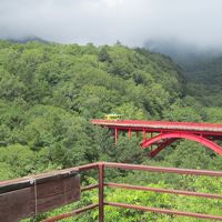 妻の誕生日に山梨にお出かけ