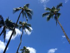 ハワイの風を感じたくて。別荘気分を味わいました。パート1