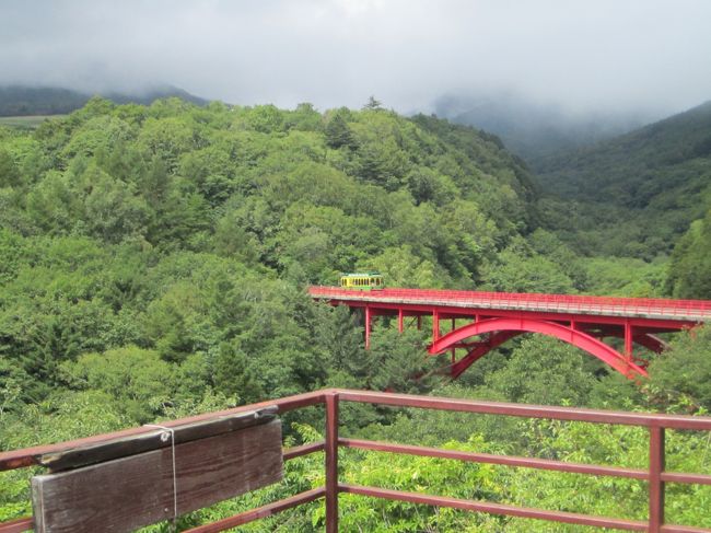 ９月の最初の週に妻の誕生日ということで、山梨県北杜市に一泊二日の予定で旅行に出かけてきました。基本的には今まで訪れたことのあるところばかりなのですが、いずれも居心地が良かったのでもう一度訪れてみたいという思いもあり、出かけるところを決定しました。<br /><br />06:55 藤沢−相模大野 5118<br />一本後の快速急行に乗る予定だったが、待ってると暑いので各駅停車に乗車。 土曜日ながらわりと混雑しててなんだか蒸し暑い。<br /><br />07:29 相模大野−町田 4302<br />小田原方面からやってきた急行電車に乗り換え。一駅で下車。<br /><br />07:42 町田−八王子 739K<br />八王子までは横浜線で移動。乗り換えのことも考えて先頭車両に乗り込む。橋本あたりからもたくさん人が乗ってきたので結局着席はできなかったのだが、冷房が効いているので案外快適に過ごせた。<br /><br />08:11 八王子−西八王子 711T<br />中央線快速電車に一駅だけ乗車。予定していた電車より少し早めに到着したので、駅前のドトールで冷たい飲み物をテイクアウトで注文する。なにせ、高速バスのバス停でしばらく待たないといけないからな。<br /><br />08:30 西八王子駅前−中央道八王子バス停下<br />西八王子駅始発の京王バスに乗車、高速バス乗り場まで向かう。前回は三鷹あたりで事故渋滞があったそうだが今回はどうなんだろうなあ、と考えつつ、念のため、ケータイ乗車券を確認したら、一本早いバスを予約していることに気づく。ギャー！！！<br /><br />予定していたバスはギリギリ出発してしまっていたので次のバスの便を一応予約する（予約変更出来なかったので、別途料金支払い。ぐぬぬ）。とりあえず、本来乗車予定のバスの空き状況次第で便を変更してもらえるか乗務員さんに尋ねてみることにする。<br />１０時くらいにならないとバスが来ないと思っていたが、意外と９時半くらいにやってくる。今回は２台増便しているらしく、３号車は空きがあったこともあり、思ったよりもあっさり便の変更が叶った。ありがたいなー<br /><br />09:03 中央道八王子−中央道明野 3803（約３０分遅れ）<br />で、ひとまずは無事にバスに乗車できたのだが、当日早朝の事故による通行止めの影響からか、相模湖あたりから大月過ぎたあたりまでひどい渋滞に巻き込まれる。ううむ、バス停で延々待っているのも辛いがこれもまたしんどいなあ。。。<br /><br />途中、中央道双葉ＩＣで休憩を挟みつつ、中央道明野バス停で下車、そこからは緩い上り坂を１５分ほど歩いて、カフェ「くじらぐも」に到着。５月以来の訪問ですよー<br />カフェの敷地に足を踏み入れると飼いヤギのチャイ君がさっそくご挨拶しに近づいてきた。よしよしと頭をグリグリしてやる。<br />高速バスの中で今回は一本早いバスに乗って帰ることにしようということになったのでちょっとヤギとのふれあいタイムは程々にしてお店に入る。<br />今日はこの前よりも空いていたのでテーブル席を広々と使える。<br />本日もランチセット（デザート付き）。選べるデザートは私はイチジクのケーキ、妻はカボチャプリンにする。<br />この前訪問したとき、隣の蔵で仕込んでいた自家製味噌で作ったと思しきお味噌汁をいただく。ちょっと酸っぱい香りがするのが手作りっぽい（幼いとき実家でも味噌を手作りしてたのでなんとも懐かしい）。ワンプレートのおかずも基本的には植物性のタンパク質だけを使っているのだが、いつもながら食べ甲斐があっておいしい。<br />食後のコーヒーを飲みながらデザートのスイーツを頂き、なんともいえず満足。<br /><br />今回はゆっくりすることもできずなんとも残念。今度は一つ早いバス（つまり、今回間違えて予約した便）でやってきてのんびりしたいものだ。<br /><br />13:28 辺見−韮崎駅<br />韮崎まで路線バスで戻る。４３０円。次の電車まで３０分くらい時間があるので改札横のベンチでしばらくのんびりする。ホームに上がってくると日差しがまだ厳しい。むちゃくちゃ暑いわ。<br /><br />14:17 韮崎−小淵沢 541M<br />この日は諏訪湖で花火大会があるのでけっこう乗客が多いのではと思っていたのだが、 小淵沢が終点なこともあり、乗車率はボチボチといったところ。小淵沢からの列車が出発するまでの時間を利用して、妻が明日の夕飯にすべく、駅弁の予約をしてきてくれた。<br /><br />15:08 小淵沢−甲斐大泉 231D<br />小淵沢を出発した直後にある大きなカーブのところに北杜市の鳥であるフクロウの「田圃アート」が作られていたので写真撮影を試みる。なんだか輪郭がボンヤリしていたので、フクロウの眼だけが目立ってちょっとしたホラーな感じになってしまっていたかも。<br /><br />甲斐大泉駅を出てから跨線橋を渡り、米屋が兼業でやっている郵便局を左折して数分歩き、今回のお宿「ペンション・アムール」に到着。まだ暑くて外に出て行く元気がなかったが、客室でしばらく涼んでいるとだんだん涼しくなってきた（ちなみに客室には暖房施設はあるものの、冷房施設はありません）。お風呂が１６時から利用できるので、さっそく使わせてもらう。さっぱりして気持ちよかったー<br /><br />途中の列車の中では宿の近くにある喫茶店でお茶でも飲もうということにしていたのだが、お風呂入ってさっぱりすると、とりあえずどうでもよくなったので、夕飯の時間までベッドでゴロンとなっている。だんだんおなか空いてきたのでちょうど良かったのかも。<br /><br />１８時半に夕飯の支度ができた旨、館内放送が入る。私たちのほかに一組家族客が食堂で夕飯を食べるようだ。<br />メニューのほうはというと、前菜のトマトサラダ、マトタイの香草焼きとラタトウユ、カボチャのスープ、グリーンサラダ、スペアリブ、デザートのアイス（柿、ほうじ茶）と紅茶、あと、ご飯と非常に盛りだくさん。特に野菜は、この辺りの農家が作ったものを直接仕入れたものなので新鮮さが全く違っていくら食べても食べ飽きないくらい。あと、デザートに出された柿のアイスクリームも、柿のある種のエグミが全くなくて、初めて味わうようなおいしさだった（お店の人に聞いたところ、特別に契約した柿の木で完熟させたものを使ってアイスクリームにするそうな）。美味しすぎて身動きできなくなるまで食べてしまった。。。<br /><br />その夜半。けっこう早めに就寝したのだが、日が変わる前後まで激しい雨が打ち付ける音でなかなか眠れない。雨が小降りになったと思ったら、どこかで激しい泣き声が響き渡る。最初は建物の外の森から獣の声が聞こえているのかと思ったのだが、一度トイレに立ったとき、廊下の方から泣き声が聞こえてきたので、赤ちゃん同伴の宿泊客がいたんだと理解する。<br /><br />明け方にもう一度激しい雨。寝る前は一番列車で小淵沢まで行き、そこから甲斐大泉駅までの上り坂をジョギングで戻ってくるというプランを立てていたのだが、寝不足だし雨が止むか分からなかったので、この計画は中止。とはいえ、ひげそりを持ってくるのを忘れたので、駅から南に降りたコンビニまで買いに行かないといけない。軽くジョギングがてら行って帰ってくるか、と走る格好に着替えて出かけることにした。<br /><br />で、コンビニに向かって走り出したものの、甲斐大泉駅脇の跨線橋を渡ったすぐの交差点に「←　吐竜の滝　３．５ｋｍ」　という標識があるのが見てしまう（日の出からずいぶんたったころだったしな）。まあ、往復７キロだったら朝食の時間までには戻ってこれるだろう、と思って、ルートを変更。コンビニには吐竜の滝経由で行くことにした。<br /><br />途中、ペンションや桐朋学園の学生寮などが点在していることもあり、アップダウンはけっこうあるものの、基本的には舗装された道路を走る。雨も止んできて山の冷気がひんやりと気持ち良い。吐竜の滝の案内看板があるところからは、未舗装の道を歩く。岩が滑ってちょっと危ない。途中、小海線の鉄橋をくぐる。列車からも吐竜の滝が見えるかも。<br /><br />ということで、未舗装の道を５分ほど歩いて吐竜の滝に到着。落差はそれほどないものの、絹糸のようにさらさらと流れ落ちる姿はなかなか美しい。寄り道してきて良かったかなー<br /><br />まあ、あんまりのんびりもできないので、急いで来た道を引き返し、改めてコンビニに向かう。甲斐大泉駅のすぐ近くにあるとばかり思っていたが、延々と坂道を下った先に店舗がある。どちらかというと、自動車で通りかかった旅行客目当ての出店なのかも。目当ての品（一番安い使い捨てのひげそり）を購入、今度は延々と上り坂を登る。帰ってきたらちょうど朝ご飯の準備ができた旨の館内放送が。急いでシャワーを浴びてくる。<br /><br />で、他の人から１０分ほど遅れて朝食。斜め向かいのテーブルに昨夜の泣き声の発生源である赤ちゃん発見。朝食だけのプランの宿泊だったのね。朝食はパンとスクランブルエッグ、サラダにソーセージ、ヨーグルトという、至ってシンプルなメニューなんだが、手作りパンがものすごくモッチリしていて絶品、サラダも新鮮でいうことなかった。良い朝食でしたわ。<br /><br />朝食後、しばらく部屋でのんびりして、９時３０分頃にチェックアウト。小海線で清里に向かうことにする。汽車がやってくるまでの時間を利用して、甲斐大泉駅から少し南に歩いたところにある、「パノラマの湯」入口で深層天然水を汲んでくる。昨夜の夕飯時に、ペンションの奥さんから是非と奨められていたのだ。汲みたての水をさっそく飲んでみると、ひんやりとしておいしー<br /><br />妻は妻で、「パノラマの湯」に隣接した「パノラマ市場」で、地元の野菜をカゴ一杯買ってきていた。安くて新鮮なので、青春１８きっぷシーズンは日帰りで来てしまうかも、とか言ってました。<br /><br />10:14 甲斐大泉−清里 225D<br />朝見てきた、吐竜の滝を列車の上から見ることができないか試みる。進行方向左側に確認できたのだが、下り列車だとトンネルを抜けた先なので、写真に収めるのは結構難しいかも知れない。清里駅に到着、窓口で青春１８きっぷの５回目のところにスタンプを入れてもらう。駅舎内のコインロッカーに荷物を預けて身軽になって散策開始。まずは駅前観光総合案内所で、ピクニックバスの一日乗車券を購入。一人６２０円。一回の乗車が３１０円なので２回乗れば元が取れる。<br /><br />で、バスは使わず、徒歩で「輿石牧場」まで向かう（徒歩で約１０分）。ホルシュタインの牛が飼われていた。少し離れたところには、仔うしの飼育スペースが設けられており、成牛はお隣同士が柵で区切られただけなのに、仔うしに関しては、一頭ずつ個室が与えられているようで、なんとも贅沢。<br /><br />11:02 輿石牧場−清里バスセンター、11:14 清里バスセンター−東沢大橋<br />ピクニックバスのパンフレットには「輿石牧場」というバス停が記載されているのだが、どこにもバス停らしきものがないので、牧場の看板のあたりでバスがやってくるのを待つ。近づいてきたバスに手を振ったら停まってくれた。一日乗車券の半券をちぎってもらって乗車。駅前まで戻る。１０分間客待ちをしてから、再び発車。今度は清泉寮方面に向かう。清里駅前から乗り込んできた女性３人連れは、まきば公園にまで行ってヤギや牛と触れあってくるそうな。最近はやりの「女子力」ともベクトルが違う、この人達。妻曰く「あれは牧女（ぼくじょ）やな。」とのこと。歴女などに続く、「○○女」として、牧女は流行るのでしょうか？<br /><br />清泉寮を過ぎて東沢大橋バス停で下車。赤い橋が木々の緑に映えてなんとも綺麗（高所恐怖症なので、とても橋の上まではいけませんでした）。<br /><br />東沢大橋から清泉寮まで歩いて下ってくる。明け方まで雨が降っていたのが嘘みたいにまぶしい日差し。木陰に入るとヒンヤリして気持ちいい。清泉寮の手前で右に折れて、ポールラッシュ記念センターに入館することにした。入館料大人５００円でコーヒーを無料で頂ける。ポールラッシュ博士は戦前から日本にやってきてキリスト教の伝道の傍ら、球技（野球やフットボール）の普及に尽力、戦後は寒村だった清里にキープ牧場を開拓、地元子女の教育に力を注いだとのこと。<br /><br />記念館の本館とポールラッシュ博士の住居を結ぶ渡り廊下にベンチが置いてあったので、しばしくつろぐ。喧噪とは縁の無い、小鳥のさえずりと風が葉を揺らす音だけが聞こえる最高の時間。バスで大挙して清泉寮に訪れる人たちも、こちらまでは足が向かないようで、まあ、その方が静寂な空間を維持できて良いのかも知れない。<br /><br />ポールラッシュ博士の住まい跡を見学して（食堂などは実に質素だった）、本館に戻り、コーヒーを頂く。マグカップはキープ牧場オリジナルの厚手のもの。最近はコーヒーメーカーが進化してどこでも美味しいコーヒーが頂けるなあ。<br /><br />で、清泉寮の周辺は、さっきのところと比べてあまりにも俗っぽいので、素通りして、キープ農場前バス停のところまで下ってくる。白い柵に囲まれたところにジャージー牛の仔うしが放牧されているのだが、ちょうどお昼ご飯の時間なのか、奥側の飼い葉桶の辺りに集まってしまって、こちらにはやってきてくれない。仕方が無いので、こちらもお昼ご飯とする。牛舎とは反対側のレストランに入場。<br /><br />私は、塩麹炒めと山賊焼きランチ（ご飯は雑穀米）、妻はベーコンと卵のサンドイッチを注文、セットでドリンクバーをつける。セットメニューでドリンクバーを注文すると２９０円でここのジャージー牛の牛乳が飲み放題なので、ものすごくオトクです。ホットコーヒーと牛乳を自分好みの比率でブレンドしてカフェラテ風にして飲むのがお奨め。山賊焼きも美味しくてたまりませんわー<br /><br />十分食べて飲んで、しばらくまったりした後、改めてジャージーの仔うしのところに戻ってくるが、まだ飼い葉桶のところでもぞもぞしている。早くこっちに来ないのかなー、と思ったら、飼育員さんがやってきて、柵を外すと、仔うしたちは整然と牛舎の中に戻っていきましたとさ。あまりにも整然としていたのであっけにとられて、写真を撮る暇すらなかった。<br /><br />帰りのバスの時間までしばらくあったので、またレストランの所に戻ってきて木陰でくつろぐ（日向にいると日差しが強くて目が疲れるのだ）。なにもせずにいるのもどうよ？　ということで、ソフトクリームを注文。さすがに一人一個は辛いので、二人で半分こして頂きました。これもまた絶品というか、濃厚なのにあっさりという、変な形容しかできないおいしさ。あと、せっかくここまで来たのだからと言うことで、キープ牧場の牛乳、ヨーグルト、チーズを購入。<br /><br />14:57 キープ農場前−清里バスセンター<br />歩いても１０分ほどの所なんだが、荷物ができたので、バスで清里駅まで戻ってきた。帰りの列車が来るまで駅内のベンチでしばし待つ。１５時を過ぎるとヒンヤリとしてくる。もう清里は一足早い秋の気配、と思ったら、駅の近くで激しい空砲の音。秋だから鹿が降りて来てるのかなあ、とか思ってみたりもする。<br /><br />15:35 清里−小淵沢 232D<br />この前７月に利用した時は、清里到着が１０分遅れの列車だが、今回はほぼ定刻通りで到着。それにしても２両編成の列車は乗客で大混雑。もう２両くらい増結してくらんものかのう。。。<br /><br />小淵沢駅では昨日妻が予約しておいた駅弁を受け取り、列車の到着を待つ。狭いホームは乗り換え客で大混雑。各種駅弁もよく売れているみたいだ。帰りの列車で美味しい駅弁を食べるというのも、行楽の醍醐味ですよねー<br /><br />16:17 小淵沢−八王子 9592M 快速ホリデー快速ビューやまなし<br />７月に利用した時と同じ席の指定席券を取ろうとおもったのだが、座席位置を十分確認せずに（ヤフー知恵袋見ただけだった）指摘席券を取ったので、進行方向と逆向きになってしまう。新宿行きの列車は、偶数番号が通路向かって左側、進行方向に顔を向く席が窓側からＡ、通路側がＢ、Ａの向かいがＤ、Ｂの向かいがＣとなっています。ちょっとショボーン。まあ、とりあえず向かいの客が乗り込んでくるまで足を伸ばしておけるのでいいや。向かい席が空いている分には、シートピッチが普通の特急車両よりも広いので快適と言えば快適。<br /><br />勝沼ぶどう郷を過ぎても向かいの席は空いたままなのを確認し、お弁当を広げることにする。甲斐大和で７分間運転停車することも見越し、大月で混み合うまでに食べてしまおうという計画。お弁当の包みを開けてみると、レタスがぎっしりで度肝を抜かれる。普通のお弁当と揚げ物−野菜の比率が逆転しとる。お取り置きしておいてもらっただけのことはあり、レタスはものすごい新鮮でシャキシャキしてました。チキンカツも美味しい。注文をつけるとすれば、ご飯が白ご飯よりも、もうちょっと味付けしてても良いかも知れない。とはいえ、とても美味しかったです！<br /><br />結局、大月から先も向かいの席は空いたまま。最後まで足を伸ばせて過ごせたので、ものすごい身体が楽。列車の遅延もなく、順調に八王子に到着。<br /><br />18:19 八王子−町田 1846K<br />ホリデー快速からの乗り換え時間が短いため、八王子からは着席できず。橋本で乗り換える客があるので、そこからは２人並んで座れた。<br /><br />18:57 町田−藤沢 1707<br />町田からは藤沢終点の急行列車に乗車。結構乗客が少なくて余裕で着席できた。昨今、代々木、新宿の辺りではデング熱ウィルスを媒介する蚊が話題になっているが、新宿から乗り換えなしで蚊も藤沢にやってくることを考えれば、ちょっと対岸の火事という訳にもいかないなあ、とつくづく思う。<br /><br />南林間とか鶴間とかに停車したせいで藤沢には１９時２３分に到着（定刻通りですが）。帰りのバスには間に合わないので、トイレ済ませたり、買い物して次のバスに乗って帰る。バスの乗客はもとより、藤沢駅周辺の交通量自体が常より少なくて、バスが途中で時間調整のために停車するくらいだ。どうしたの？<br /><br />ということで、妻の誕生日のお祝いとして、妻の行きたいところを纏めて巡ってくる小旅行を楽しんできました。交通手段の利用方法については、わりとノウハウが蓄積されてきたので、今度こちら方面を旅する際には、もっとスムーズかつ快適に移動できるのではないかなあと思う次第です。