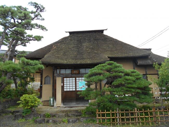 かみのやま温泉エリアの一隅にある春雨庵（はるさめあん、山形県上山市松山）は「たくあん漬け」で知られる沢庵禅師（たくあんぜんじ、１５７３～１６４６）がこよなく愛し約３年間を過ごした庵として知られています。<br /><br />当庵の由緒書によれば幕府の厳しい宗教統制として元和法度（幕府の禁止令）や紫衣（しえ）事件（天皇の詔で決まっていた大徳寺の住職はを幕府が決め、また天皇から賜る紫衣着用は幕府が認めた者に限るなどが定められた）に対し強く抗議した京都大徳寺の沢庵禅師（たくあんぜんじ、１５７３～１６４６）は寛永６年（１６２９）８月に出羽国上山に流されます。<br /><br />当時の藩主土岐頼行（とき・よりゆき、１６０８～１６８４）は当地に小庵を新築し沢庵禅師を手厚く迎え、沢庵もこの庵をすっかり気に入り自ら「春雨庵」と命名、花鳥風月を愛でながら配流の身を慰めたと言われます。<br /><br />寛永９年（１６３２）二代将軍秀忠逝去により大赦令が出され、三代将軍家光により赦免された沢庵は３年間の流刑生活を終え京都に戻りますが、上山滞在中は禅の道の他詩歌・風流の道、水利や築庭の設計など京都・江戸の文化を伝え領民の為に広汎な知識を授けて、城下町の発展に貢献します。<br /><br />寛永１１年（１６３４）家光が上洛した際天海や柳生宗矩の勧めで沢庵は家光と謁見、以後家光は沢庵に深く帰依するようになり、その後家光に懇願され江戸にて家光の相談を受ける立場となります。<br /><br />寛永１６年（１６３９）４月、沢庵に帰依した家光は江戸品川に東海寺を創建し、沢庵を住職に迎え開山とします。<br /><br />江戸に居を移した沢庵は上山春雨庵で過ごした３年間が忘れられず、正保元年（１６４４）藩主頼行は春雨庵を模して東海寺境内に塔頭を建立してその名も春雨庵と名付け土岐氏の菩提寺となります。<br /><br /><br /><br />２０２２年１１月３０日追記<br /><br />草庵に建てられた説明板には次の通り紹介されています。<br /><br />『　春　雨　庵　の　由　緒<br /><br />江戸幕府の厳しい宗教統制のなかで、元和法度（幕府の禁止令）や紫衣事件に抗議した京都大徳寺１５３世の沢庵禅師は、寛永６年（１６２９）８月、この上山に流されてきました。<br /><br />当時の藩主・土岐頼行は、この地に小庵を建て居住させたが、沢庵は殊の外この小庵がお気に入り、自ら「春雨庵」と命名し、花鳥風月を愛でながら配流の身を慰められたと言われています。<br /><br />藩主・頼行も、名僧・沢庵に帰依して指導を仰ぎ、上山藩藩政史上、顕著な治績を挙げ、領民からも名君として慕われました。<br /><br />寛永９年（１６３２）７月、三代将軍・家光により赦免された沢庵は、３年間の流刑生活を終え江戸に帰られたが、この間、禅道のほか、詩歌・風流の道、水利や築庭の設計など、京都や江戸の文化を伝え、領民のためにも広範な知識を授け、城下町の発展に貢献されました。<br /><br />寛永１６年（１６３９）４月、沢庵に帰依した将軍家光は、江戸品川に東海寺を創建し、沢庵を住職に迎え開山としました。<br /><br />沢庵は、江戸になっても上山の春雨庵過ごした頃が忘れられず、時折、語種になるので、正保元年（１６４４）に頼行は上山の春雨庵を模して、東海寺の境内に塔頭を建立し、その名も春雨庵と名付け、土岐家の菩提寺としました。<br /><br />じ来、幾星霜を経て品川春雨庵が一部改造の際、一間の長押と天井板などを譲り受け、昭和３０年７月、この地に復元したのが現在の春雨庵であります。<br /><br />正面には沢庵の尊像（原図は吉川英治、作は初代野川陽山）と、茶人でもあった沢庵を偲び、南側には日本茶道院石山太柏設計による茶亭（望岳軒）、聴雨亭および飯田十基設計の茶庭が配されています。<br /><br />また、この「春雨庵跡」は、昭和２８年８月３１日、山形県史跡に指定されたものであります。<br /><br /><br />春雨庵にて詠める歌　二首<br /><br />　　　花にぬる胡蝶の夢をさまさじと　ふるも<br />　　　音せぬ軒の春雨<br /><br />　　　浅くともよしや又汲む人もあらば　われ<br />　　　にこと足る山の井の水　　　　　　　　　　』<br /><br /><br /><br /><br />『　土　岐　灯　籠　の　由　来<br /><br />寛永６年（１６２９）、上山藩主土岐頼行公は、江戸幕府の厳しい宗教政策から紫衣事件に連座し、上山には配流された京都大徳寺第１５３世住持の沢庵禅師を、この春雨庵に迎え厚遇し、三年間禅師を尊師として教導を仰ぎ、上山藩政史上格別の治績を遺し、領民からも名君として慕われ、二代藩主頼殷公は大坂城代にまで栄進した。　　<br /><br />元禄６年（１６９３）、頼殷公は東京都港区虎ノ門の江戸見坂に上屋敷を拝領され、その後、三度の屋敷替えもあったが、明治３１年（１８９８）まで代々の土岐氏が居住した。<br /><br />その屋敷跡の庭園が、昨年７月に改造されることになり、土岐家１９代当主実光のご厚意により、上山土岐会にその庭園にあった石灯籠６基と七層石塔一基が寄贈された。<br /><br />この灯籠の様式は、江戸時代中頃の風格を持つ貴重なものであり、上山市とも協議のうえ、「土岐灯籠」と命名し、上山市制施行並びに上山郷土史研究会発足５０周年記念事業として、会員や有志の協賛と上山市の援助により、土岐氏と縁の深い当春雨庵に灯籠I基を建立したものである。<br /><br />　　　平成１６年４月１５日<br />　　　　　　　　　　　　　　　　　　上山土岐会<br />　　　　　　　　　　　　　　　　　　上山郷土史研究会　』