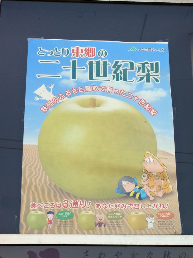 鳥取県を代表する秋の味覚といえば、二十世紀梨ですが、その中でもブランド化されているのが「東郷の梨」です。<br />こちらに住んで20年経過しますが、初めて梨の選果場に足を踏み入れました。<br /><br />進物として「東郷の梨」は友人達に贈っていましたが、近所のスーパーやJAのお店で、伝票を書くだけで送れていたので特に気に留めていませんで、このような催しがあるのを初めて知りました。<br /><br />梨の詰め放題は、奥様の「全部食べれるの?」という一言で、自制心が働きましたが、確かに食べ放題といわれても、1個が精一杯でした。<br /><br />全国の皆さん、鳥取の二十世紀梨は美味しいですよ。