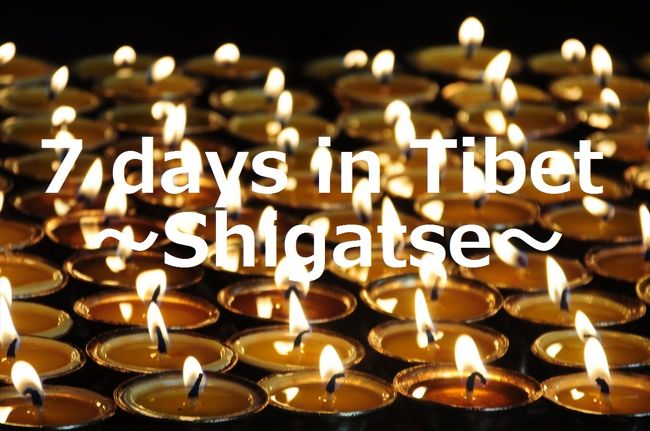 とうとう憧れのチベットへ！<br /><br />一緒に行く友人が見つからず、仕方なくひとりで<br />ツアーを組んでもらった今回のチベット旅。<br /><br />シガツェに1泊し、翌朝シガツェ地区最大の寺院、<br />タルシンポ寺に向かいました。<br /><br />タルシンポ寺は、ラサのガンデン寺、デプン寺、セラ寺、<br />西寧のタール寺、甘南のラプラン寺と併せて、<br />6大ゲルク派寺院と呼ばれているそうです。<br /><br />まるで一つの町のような寺院で、その迷路のような敷地を<br />チベット人ガイドくんにくっついて歩いていきました。<br />彼によれば、現在この寺院にいるパンチェン・ラマは<br />中国政府の立てた人物で、本物のパンチェン・ラマではない、<br />とのこと。<br /><br />この話だけではないですが、チベットの裏で起きていることを<br />話しているときの、そのやるせない表情、チベットの今を<br />物語っているような気がしました。<br /><br /><br />★★　7days in Tibet 8/8〜8/18　旅行記前半　★★<br />01★西安★旅のはじまり<br />http://4travel.jp/travelogue/10811439<br />02★西寧出発！天空を駆ける青蔵鉄道に乗る<br />http://4travel.jp/travelogue/10811713<br />03★念願のチベット入り！天空を駆ける青蔵鉄道に乗る<br />http://4travel.jp/travelogue/10816428<br />04★ラサ★バルコル周辺をぶらぶらと<br />http://4travel.jp/travelogue/10824635<br />05★ラサ★バルコル抜けるとそこは市場！<br />http://4travel.jp/travelogue/10825991<br />06★ラサ★チケット入手困難！早朝ポタラ宮に並ぶ…<br />http://4travel.jp/travelogue/10826239<br />07★ラサ★ダライラマの夏の離宮ノルブリンカでショトン祭り！<br />http://4travel.jp/travelogue/10834818<br />08★ラサ★パボンカゴンパとジョカンへ！<br />http://4travel.jp/travelogue/10835442<br />09★ラサ★とうとうポタラ宮へ<br />http://4travel.jp/travelogue/10857243<br />10★ラサ★デプン寺とセラ寺で問答修行を見る<br />http://4travel.jp/travelogue/10857604<br />11★ラサ★ポタラ宮見に夜のお散歩<br />http://4travel.jp/travelogue/10857857<br />12★ラサ★のんびりな…ヤムドゥク湖への道のり<br />http://4travel.jp/travelogue/10858324<br />13★ラサ★美しさに息を呑んだヤムドゥク湖<br />http://4travel.jp/travelogue/10858384<br />14★ナンカルツェ★カローラ峠から氷河をのぞむ<br />http://4travel.jp/travelogue/10901116<br />15★ギャンツェ★城壁に囲まれた町へ<br />http://4travel.jp/travelogue/10926182<br />16★シガツェ★シガツェ・ゾン周辺散歩<br />http://4travel.jp/travelogue/10926436<br />17★シガツェ★今も信仰を集めるタルシンポ寺…でも…<br />http://4travel.jp/travelogue/10927596