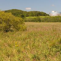 根室・十勝の旅（2）霧多布湿原・北太平洋シーサイドライン