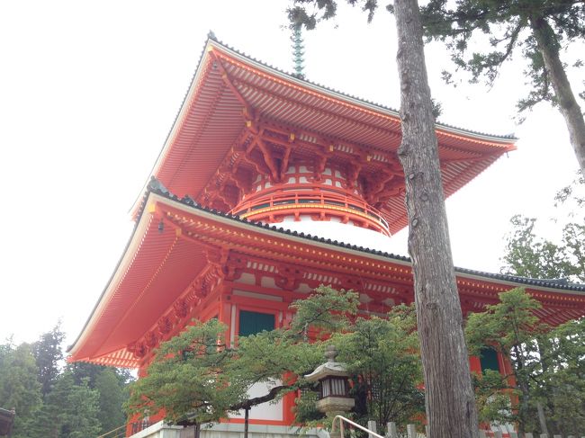 急に思い立ち、下調べもなく<br />高野山に行って来ました。<br /><br />頼りは駅置きのパンフレットのみ。<br /><br />個人で行くのは初めて…<br />小学校の時の林間学校の思い出や<br />数年前に家族とツアーで訪れた<br />初詣のことなど思い出しながら<br />行ったことのない高野山も<br />体験できました。