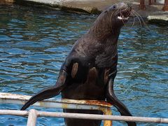 はじめまして北海道～おたる水族館・銭函海岸編～。