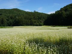 ソバの花咲く南会津、桧枝岐（ひのえまた）歌舞伎を見に行ってきました！そして、ちょこっと、尾瀬散策も♪①（前沢曲屋集落と尾瀬沼散策）