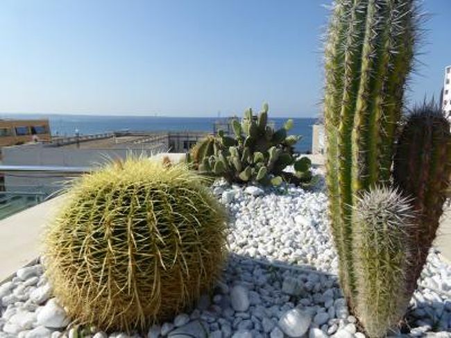 7月9日〜28日の18泊20日、南イタリアへ行きました♪<br />世界遺産の風景、美しい島やビーチ、白い街並み、果てしなく続くオリーブ畑、煌めく海岸、バロック街並み、数多の優雅な城、美味しいグルメを楽しんできました♪<br />訪れたのは、ナポリ、ポンペイ、エルコラーノ、ビエステ、ペスキチ、ヴィーコ・デル・ガルガーノ、トレミティ諸島（サン・ニコラ島+サン・ドミノ島）、ポリニャーノ・ア・マーレ、カステッラーナ・グロッテ、モノポリ、オストゥーニ、チステルニーノ、ロコロトンド、アルベロベッロ、マルティナ・フランカ、チェーリエ・メッサーピカ、ブリンディジ、オーリア、ターラント、フランカヴィッラ・フォンターナ、カロヴィニョ、レッチェ、ガラティーナ、ポルト・チェザーレオ、コリリアーノ・ドトラント、オートラント、レウカ、アレッサーノ、スペッキア、ソレート、ナルド、ガリポリ、トッレ・ア・マーレ、バーリ、カステル・デル・モンテ、アンドリア、トラーニの３７か所へ行きました。<br />宿泊地はナポリ、ビエステ、ポリニャーノ・ア・マーレ、オストゥーニ、レッチェ、オートラント、ガリポリ、バーリの８か所。<br /><br />☆Ｖｏｌ３１５：第１７日目（７月２５日朝）ガリポリ♪<br />ホテル「Palazzo del Corso」のジュニアスイートルームで気持ちよく目覚め♪<br />バルコニーから眺めて今日も天気が良い。<br />今日はガリポリから離れてバーリへ。<br />屋上のメインダイニングで朝食。<br />朝のパノラマを楽しみながら頂く♪