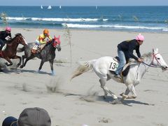 相良草競馬に家族で行ってきた＋グランパークあらさわの鯉のぼり