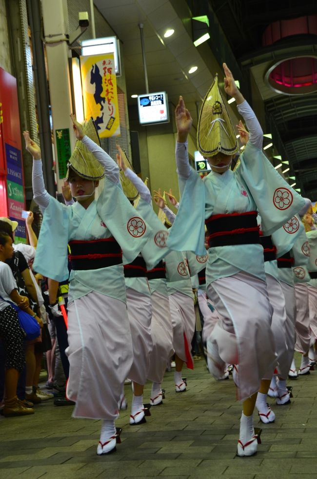 東京の夏の終わりの風物詩　　高円寺阿波踊り　2014