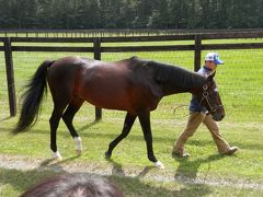 門別競馬場、社台スタリオン、ノーザンホースパーク