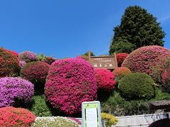 信州 岡谷「鶴峯公園 2014ツツジ祭り」