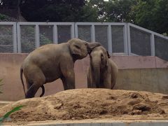 孫と多摩動物園に行く