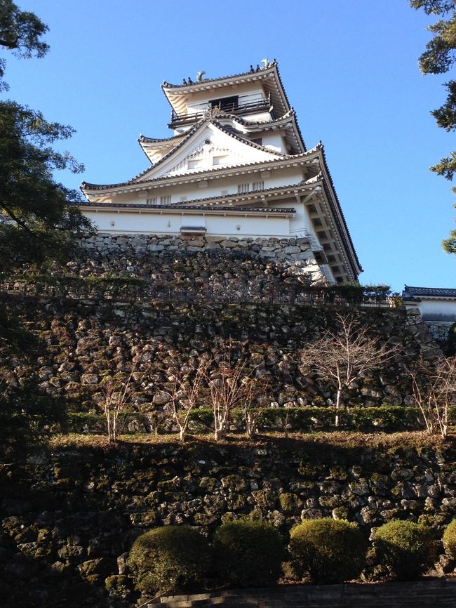 年末に高知へ行きました。レンタカーを借りて、高松までのんびり2泊で移動しました。3歳と1歳の子どもがいるので、かなり行動が狭くなってしまいましたが、旅行気分は満喫できました。