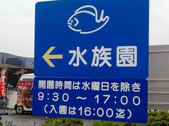 雨の日の葛西臨海水族館