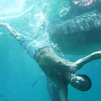 セブで子連れでジンベイザメと泳いできた in 2014(5)