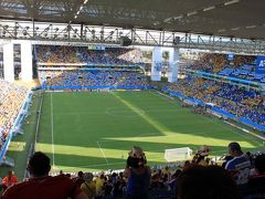 2014 ブラジル＆ちょこっとパラグアイ～滝・Ｗ杯サッカー・パンタナールetc欲張り旅-その４