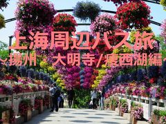 GW上海周辺バス旅4★揚州★鑑真ゆかりの大明寺とお花いっぱい痩西湖
