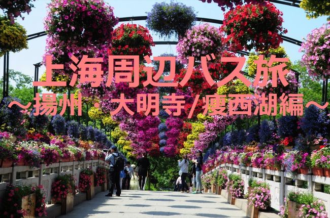 GW後半はひとりでバスに乗り上海周辺、江蘇省の<br />南通と揚州に行ってきました。<br /><br />南通の次の目的地は揚州。<br />揚州といえば、鑑真の出身地、そして痩西湖と<br />江南園林、揚州炒飯(笑)が思い浮かびます。<br />見どころは多いですが、GW休暇最終日なので、<br />日帰りで回れるだけ回ってみました。<br /><br />まずは鑑真が日本に渡る前、住職を務めていた<br />大明寺に向かいました。<br />寺院内には鑑真がらみの像や石碑などがありました。<br /><br />そのあと、すぐ近くにある痩西湖景区へ。<br />景区内にはお花がいっぱい咲いていて鮮やか。<br />湖畔を歩く人も少なくてのんびりしていました。<br />ちょうどこの翌月に世界遺産に登録されたということで<br />きっとこれからより多くの旅行者が訪れるように<br />なるのではないかと思います。<br /><br />* 世界遺産の登録名は、京杭大運河で、<br />痩西湖は大運河の重要構成部分です。<br /><br /><br />★★ 上海周辺バス旅旅行記 5/5〜5/6 ★★<br />1★上海★バスで出発!<br />http://4travel.jp/travelogue/10927862<br />2★南通★寺院へ続く古い町並み〜寺街〜<br />http://4travel.jp/travelogue/10928407<br />3★南通★川べりぶらぶら散歩〜鐘楼・城隍廟編〜<br />http://4travel.jp/travelogue/10928715<br />4★揚州★鑑真ゆかりの大明寺とお花いっぱい痩西湖<br />http://4travel.jp/travelogue/10928921<br />5★揚州★揚州園林を満喫〜小ぢんまりした个園と中洋折衷の何園〜<br />http://4travel.jp/travelogue/10929746<br />6★揚州★ぶらり町歩き<br />http://4travel.jp/travelogue/10929943