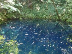 奥入瀬☆十和田湖☆白神山地☆青池