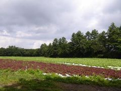 優雅な避暑　浅間高原♪　Ｖｏｌ２　☆旧六合村の花豆ソフトクリームを求めて♪