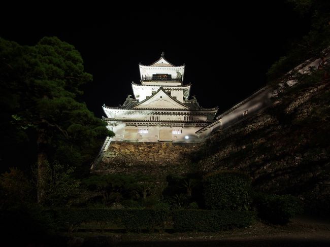 ちょっと夜の高知城を見に行ったらたまたまお祭りやってました！ラッキー♪