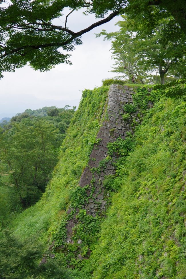 原尻の滝を出て、国道５０２号を西へ１０分ほどで岡城跡に到着します。<br /><br />岡城跡に着く手前の国道５０２号におもしろい細工がしてありました。<br /><br />路面にタイヤとの摩擦で音が出るようにしたもので、<br /><br />ちゃんとメロディーになるのです。<br /><br />曲はもちろん、滝廉太郎の「荒城の月」です。<br /><br />運転しながら感心しました。<br /><br />岡城跡は幼少のころの滝廉太郎がよく登って遊んでいたらしいんです。<br /><br />たしかに登ってみると、櫓も門もないさまでした。<br /><br />そこからあの名曲が生まれたんだなぁ～と思いましたが、<br /><br />まだ日はかげってない昼間です。<br /><br />なかなかイメージがわかず、さらに先ほど通ったメロディーの道を<br /><br />５，６台の車が走っていきます。<br /><br />すると、荒城の月の輪唱かと思いきやただのブーブー音で<br /><br />メロディーが重なり過ぎて意味なし。<br /><br />まぁ、緑がきれいで石垣を飲み込むように生い茂っていたのを見ると、<br /><br />どこかの遺跡にきた感覚にも思えて良かったです。<br /><br />一番、心に残ったのは通行手形の巻物で、入場料を払うといただけます。<br /><br />なかなか凝ってあるので他のお城も少しアイデアを出してみては・・・。<br />