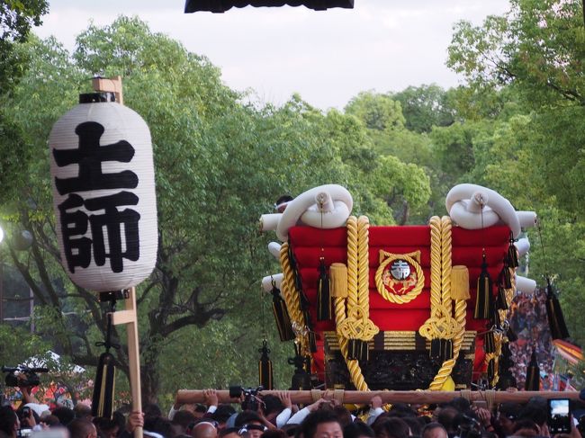 大阪・堺、仁徳天皇陵の近くにある、百舌鳥八幡宮では仲秋の名月に際し、月見祭が行われます。<br /><br />この月見祭(秋祭り)は、氏子百舌鳥9町が、それぞれ大小のふとん太鼓を担いで奉納(境内を練り歩く)します。<br /><br />近年お祭りの日を土日にあわせるようになり、今年は仲秋の名月が9月8日の月曜日にあたることから、9月13日、14日にとり行われます。<br /><br />そこで、13日のふとん太鼓の宮入に行ってきました。<br /><br />【写真は、石段を上るふとん太鼓です。】