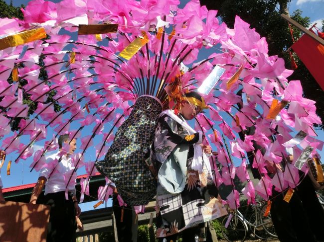 見物客100人の小さな祭りです。