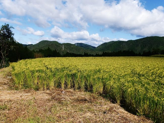 愛宕山の西北、平安時代から畑作が行われていた嵯峨越畑集落の棚田と蕎麦を訪ねた。