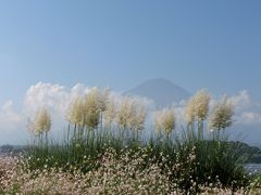 河口湖畔の旅　富士山の御機嫌をうかがいながら・・・