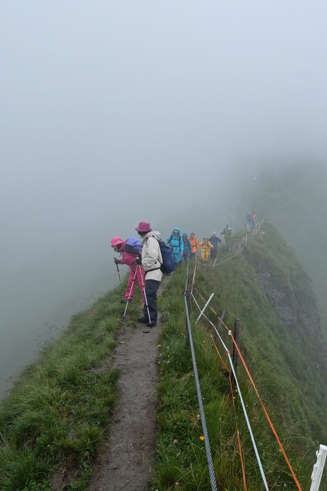 ここでは、今回のオーストリア三大名峰山麓ハイキングの思い出について纏めて行くことにする。 <br /><br />今回の旅は行く前の天気予報では晴天がほとんど期待できないようであった。 このオーストリアの旅だけでなく、スイスその他のアルプスでも良くなかったようである。 当方始め参加者も期待していないようであった。 ハイキングには晴天であれば景色のみならず色んな意味で楽しさが増してくるのであるが・・・・。<br /><br />今回の旅ではオーバーグルグル地区とグロースグロックナー地区の登山ハイキングの日だけが晴天であった。その他の日は雨カッパを着てのハイキングであった。 そういうわけで最後のハイキングだけは晴れてほしかったのであるが、やはり、雨カッパを着てのハイキングとなった。<br /><br />しかしながら、アレクサンダートレイルでは最初のうちは雨で嫌であったが中間点付近にに来ると例の痩せ尾根に掛り、ガスがかかっていて周りの風景は幻想的であった。<br /><br />しかもガスが掛っているために尾根の両サイドの切り立った崖が隠れていて恐怖感を余りかんじる事は無かった。<br />ただし、エーデルワイスが見られるということで切り立った崖の方を見て撮影するときはややビビったものである。<br /><br /><br />*写真は痩せ尾根の幻想的なアレクサンダートレイル<br />