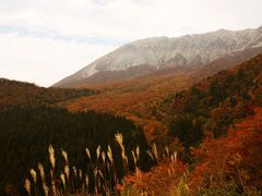 紅葉の伯耆大山を登ってドライブしてまるごと満喫♪