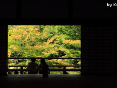 はんなり京都たび♪(4)＜Day3 嵐山＆広隆寺＆妙心寺＞