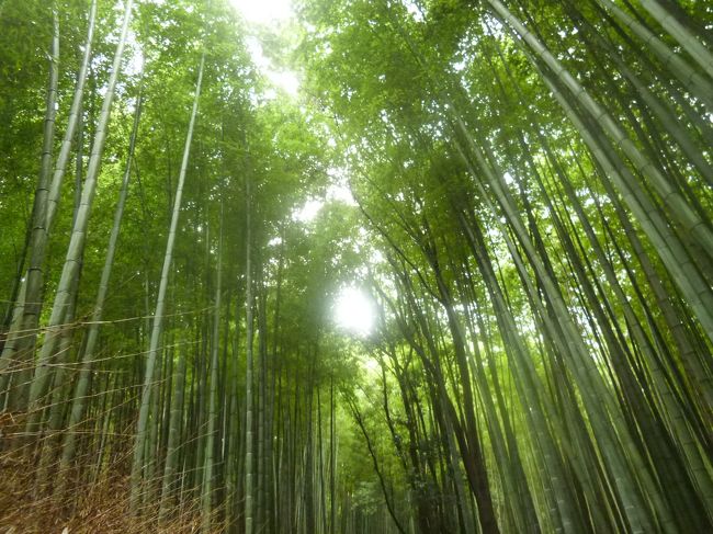 旦那と２人で行ってきました。<br /><br />夏の終わりの少し遅めの夏休みの京都旅行。<br />