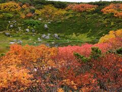 【400冊記念】日本一早い紅葉に出会う旅【１】～霧に煙る姿見の池と思い出の勇駒荘～