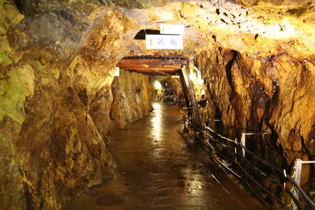 生野銀山<br /><br />閉山後の1974年に、史跡 生野銀山（三菱マテリアル関連会社の株式会社シルバー生野が管理・運営）という名称でテーマパークを開業した。のみの跡も生々しい坑道巡りのほか、鉱山資料館には「和田コレクション（和田維四郎）」をはじめとした多数の貴重な鉱物が展示されている。<br /><br />2007年に近代化産業遺産、および日本の地質百選に選定された。<br />