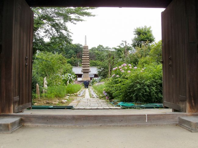奈良の花菖蒲園とコスモスの寺で有名な般若寺へ行ってきました。