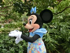 2014年５歳児と行くハワイ・アウラニディズニーにお泊まり・２