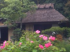 京都①ホイッスラー展②南禅寺散歩③夕食は静華で中華　翌日はきぬかけの路④等持院⑤竜安寺⑥相国寺承天閣美術館では伊藤若冲の名宝展から⑦建仁寺・両足院夏の特別公開　2014