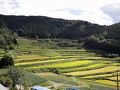 津山の旅行記
