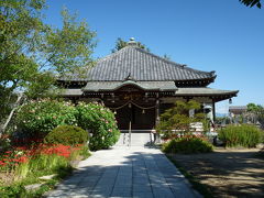 常楽寺（太田市）の彼岸花_2014_(2)