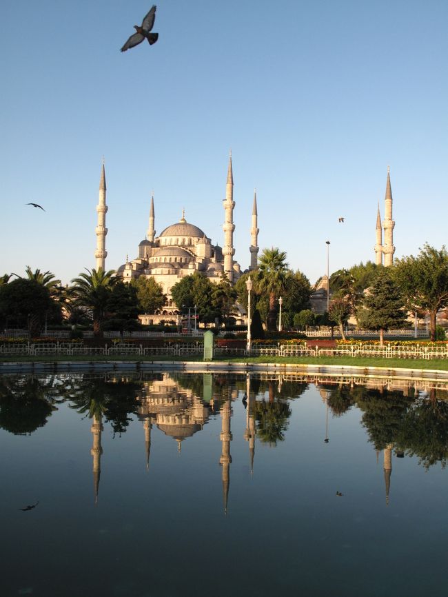 イスタンブールだけですが、トルコに行ってきました。