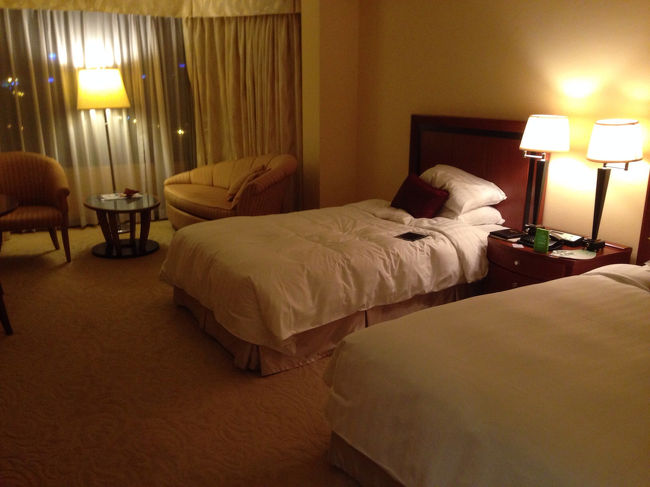 ハノイに3泊しました。<br />3泊はハノイ日航ホテルにしました。<br /><br />ハノイからはLCCのTIGER AIRです。<br />TIGER AIRは初めて乗りました。