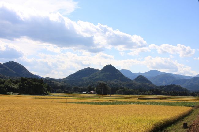 黄金色に染まった、景色<br /><br />曼珠沙華を見た帰り道。。<br /><br />前から、気になっていたカフェに行ってみた。<br /><br />行く度、お休みでしたから今日こそは。。。。と・・